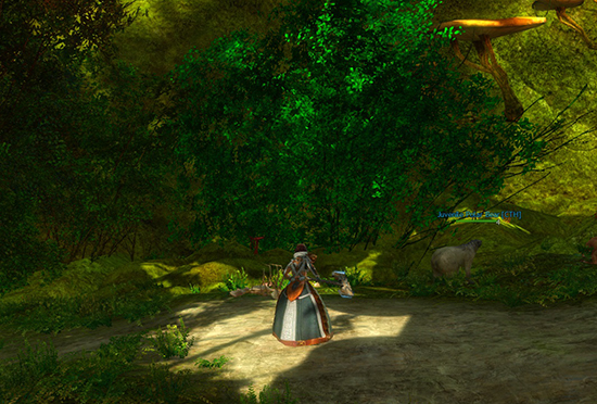 Spelunkers Delve Entrance