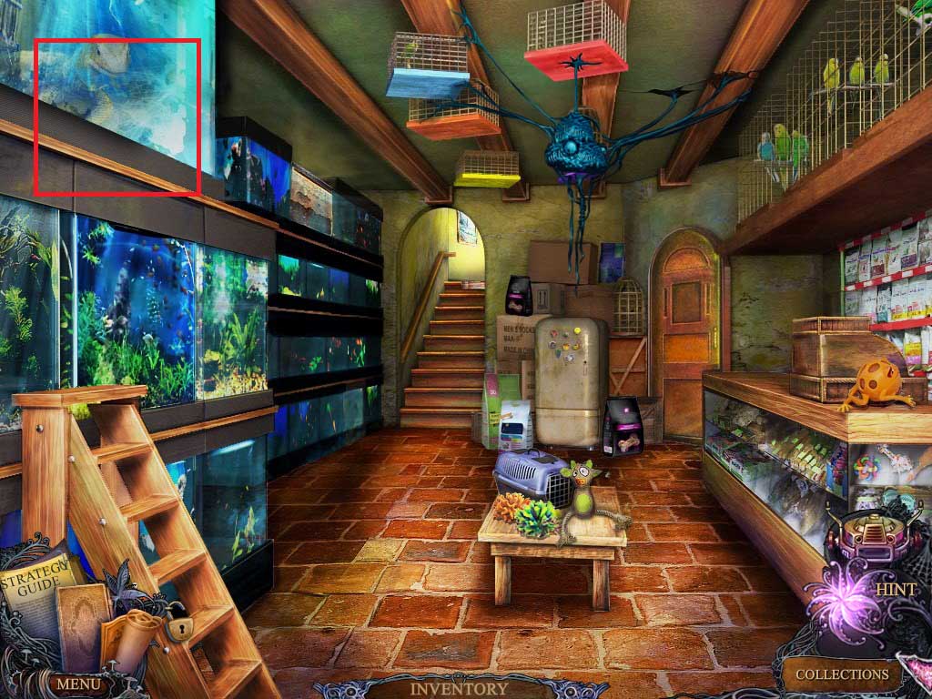 Chapter-3-08-Dragonfly