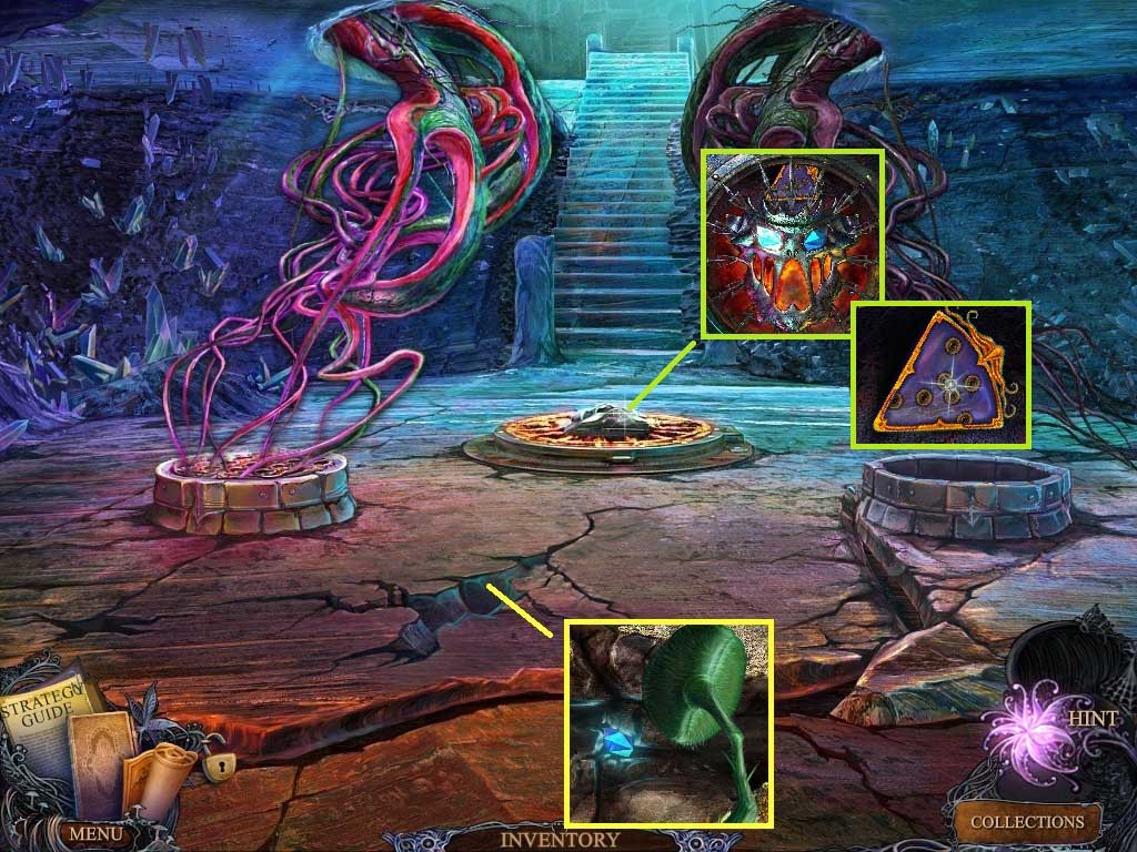 Chapter-6-11- Carn-Plant