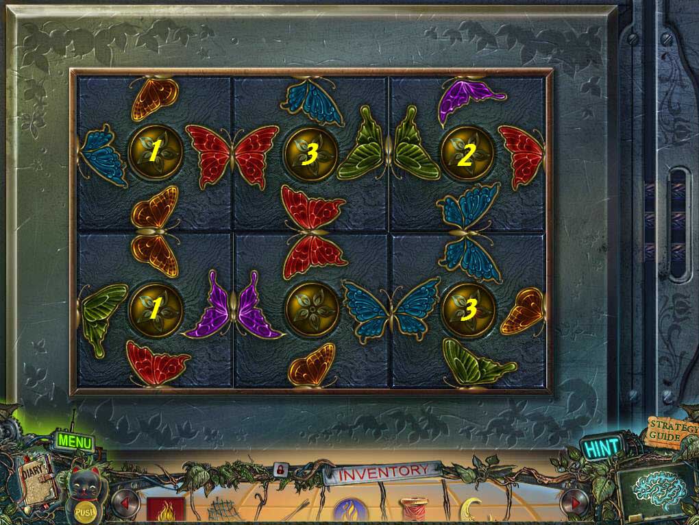 Butterfly Puzzle Solution