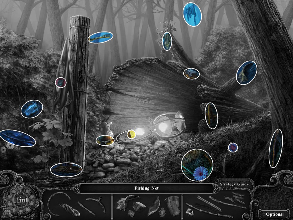 BLACK_FOREST_HIDDEN_OBJECT_02.jpg