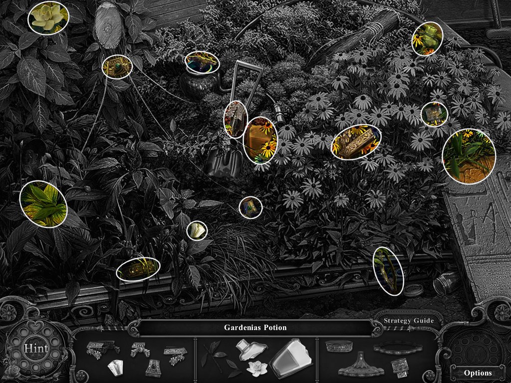 GREENHOUSE_HIDDEN_OBJECT.jpg