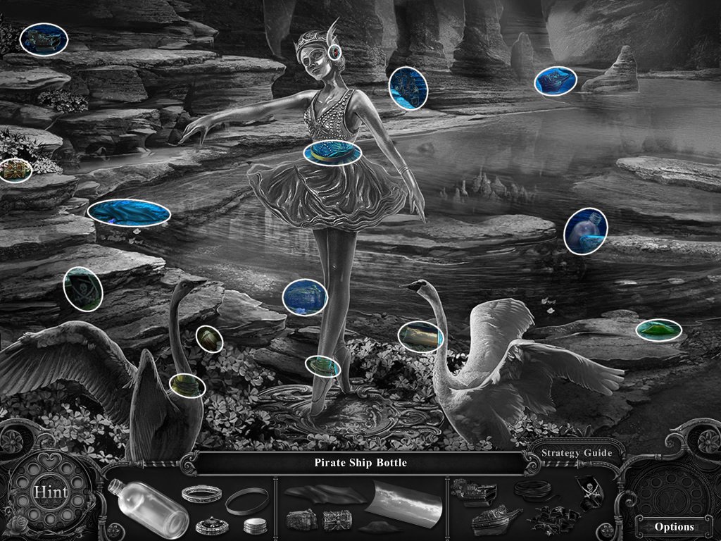 SWAN_LAKE_HIDDEN_OBJECT.jpg