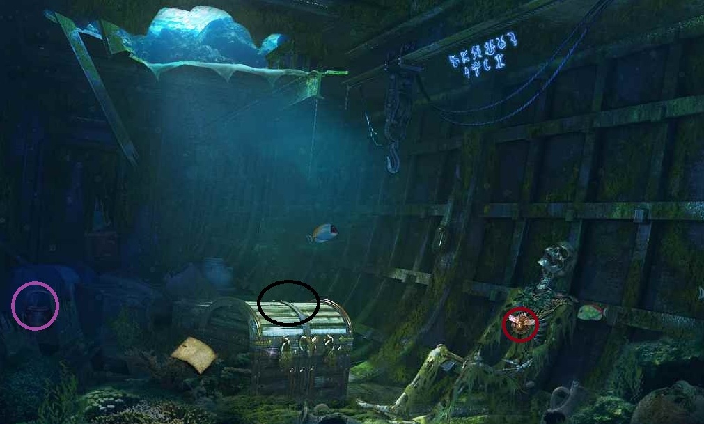 cargo-hold.jpg